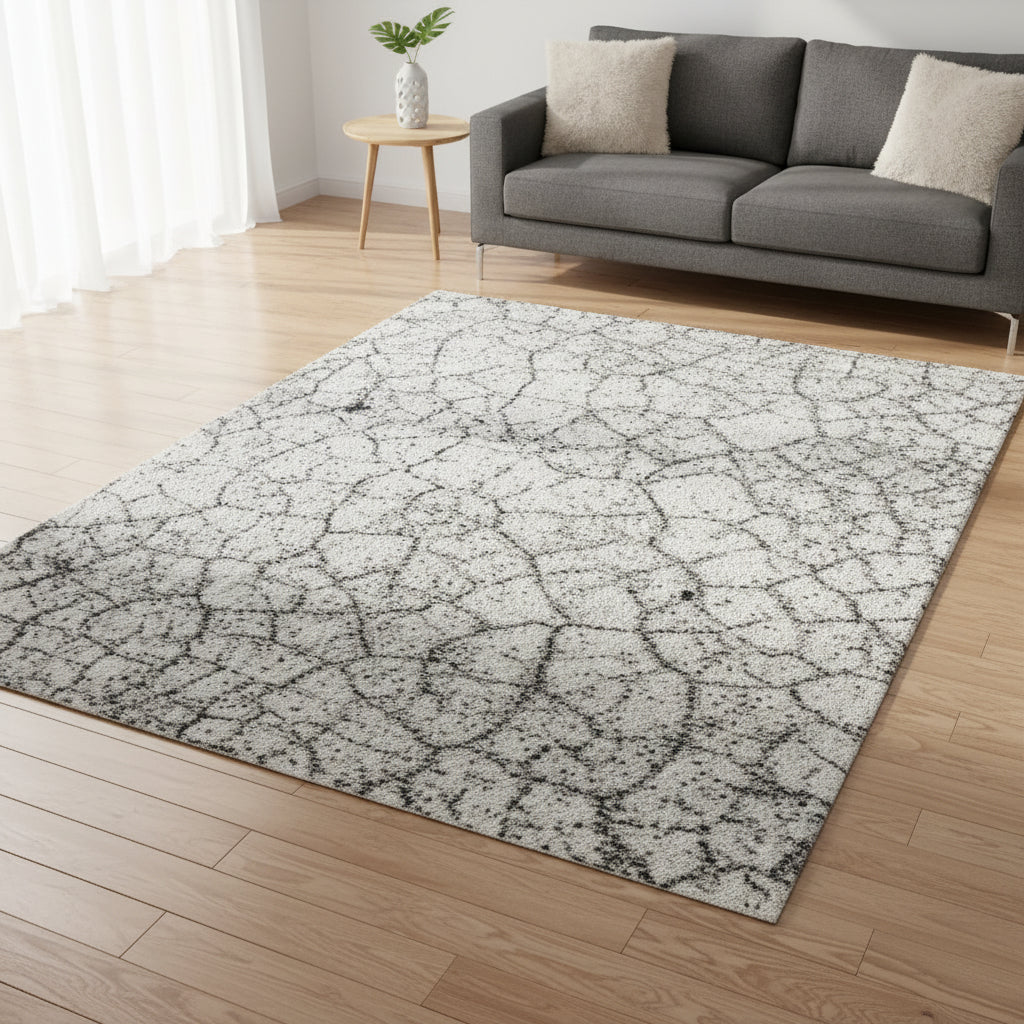 Lynx Stone rug styled in a living room