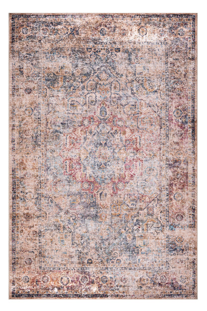 Vintage-style rug with intricate patterns in earthy tones on a white background