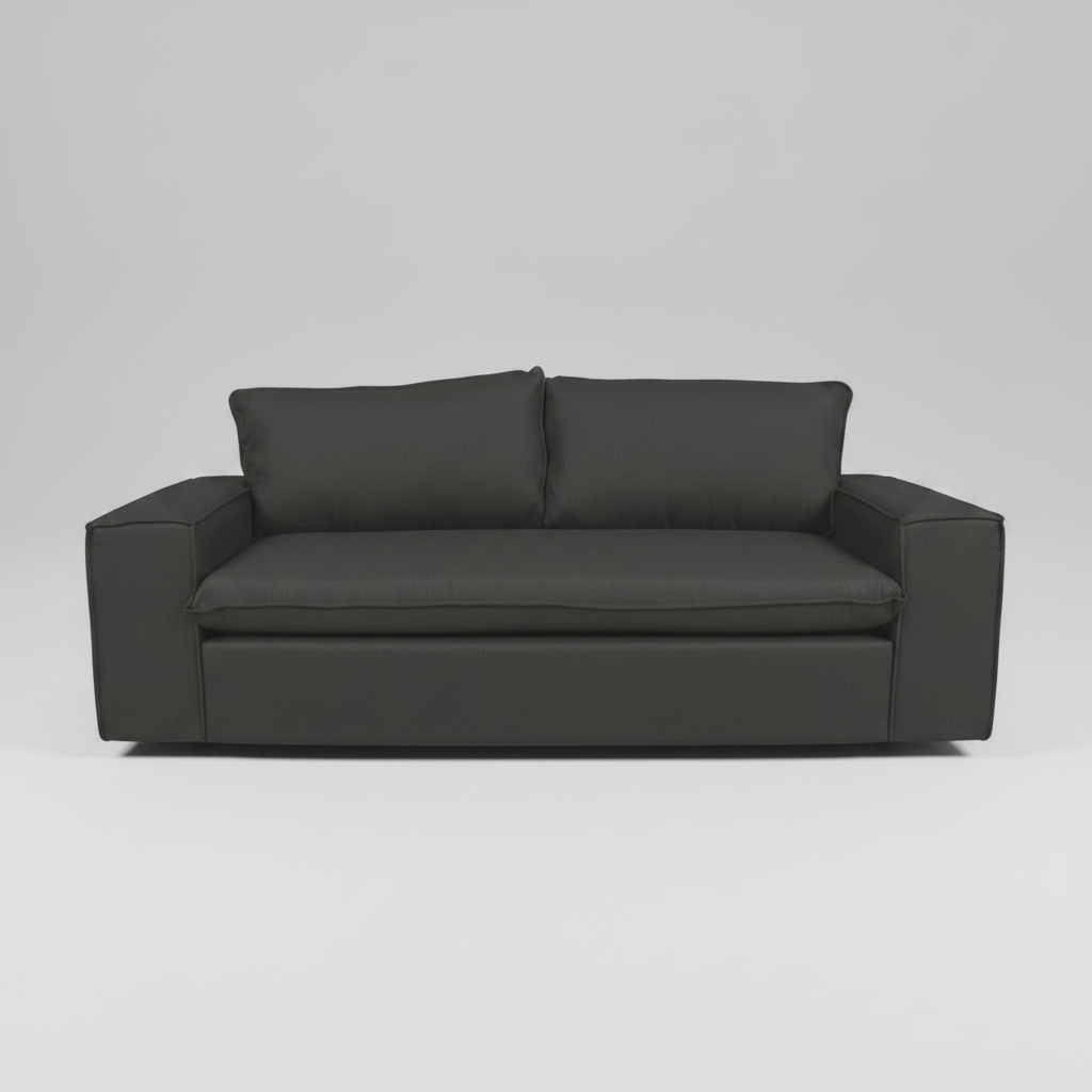 Dark gray sofa with two cushions on a light gray background