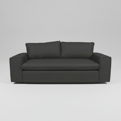 Dark gray sofa with two cushions on a light gray background